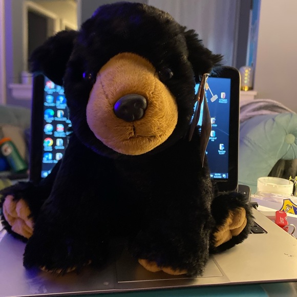 Stuffed bear - Picture 3 of 3